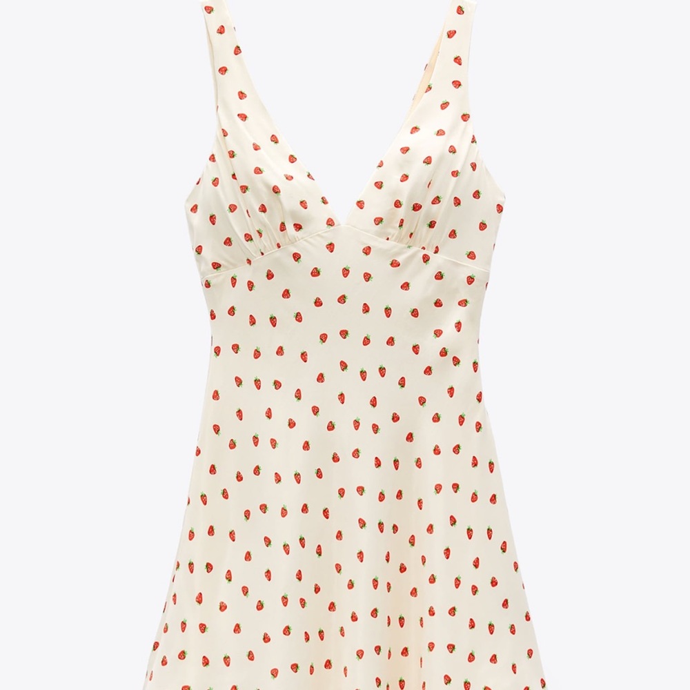 NWT Zara Strawberry Dress